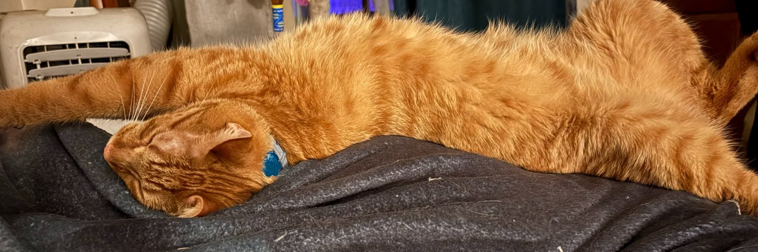 funnelcakezz's profile banner image
