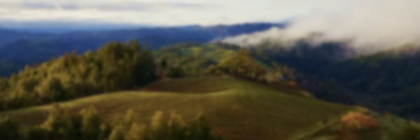 websim_ai Profile Banner
