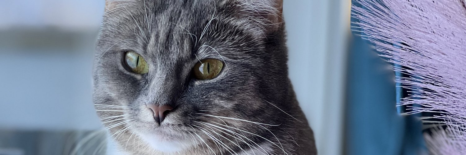 ChatrinMelvik's profile banner image