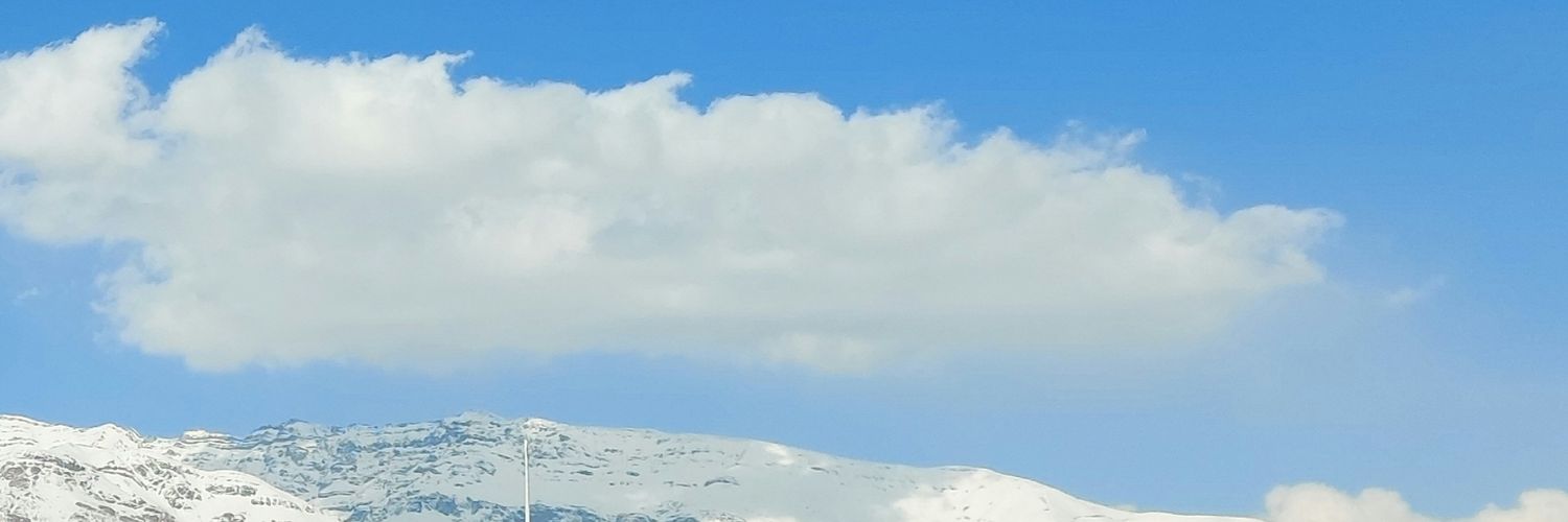 فعلا آرمین's banner