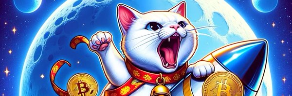 Bitcustodes Profile Banner