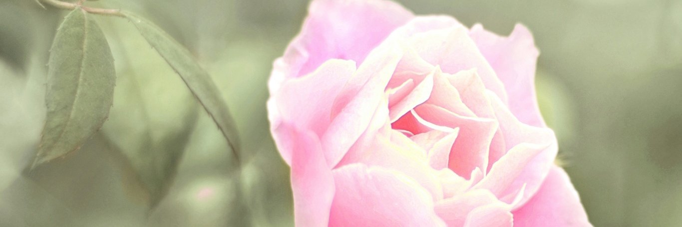 cieloarrebol's profile banner image