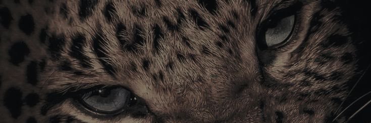 soso🥴 banner
