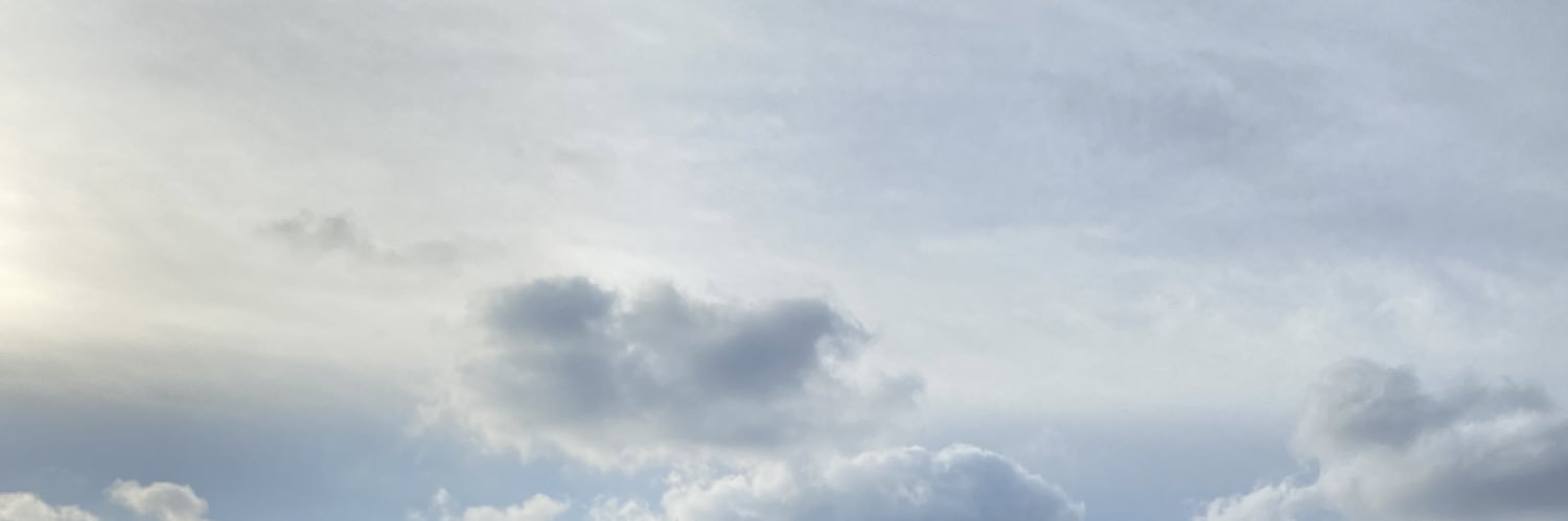 曼巴 banner