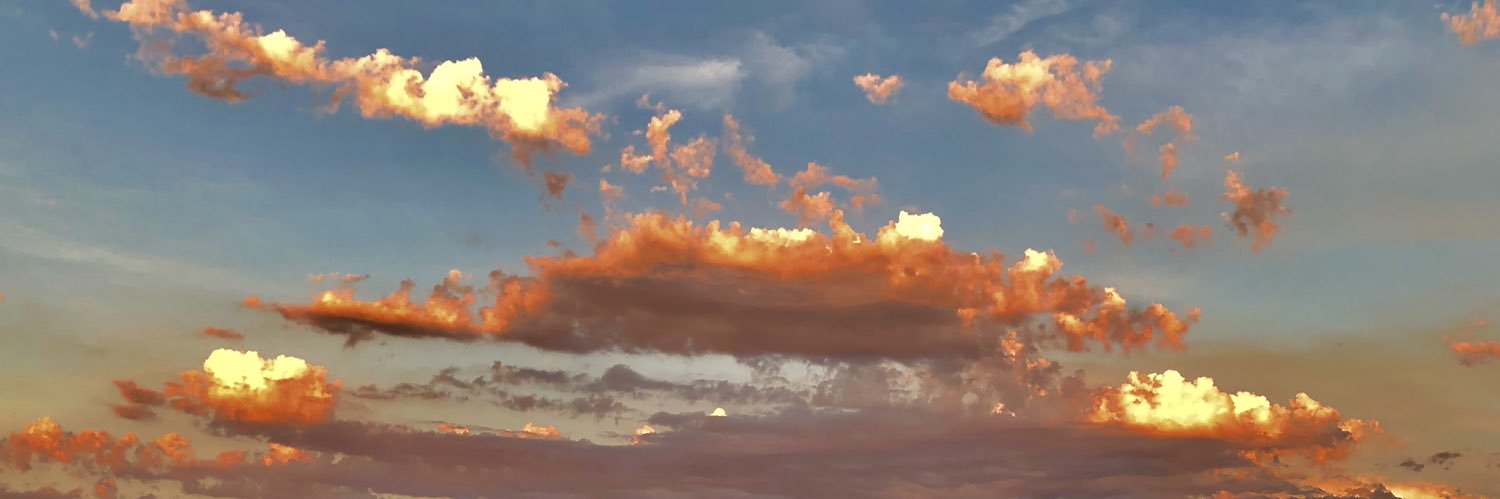 Marc Raimondi banner