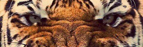 JuubiisJC's profile banner image