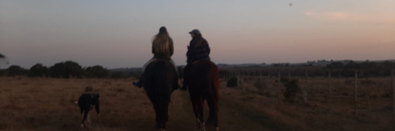 SOFÍA banner