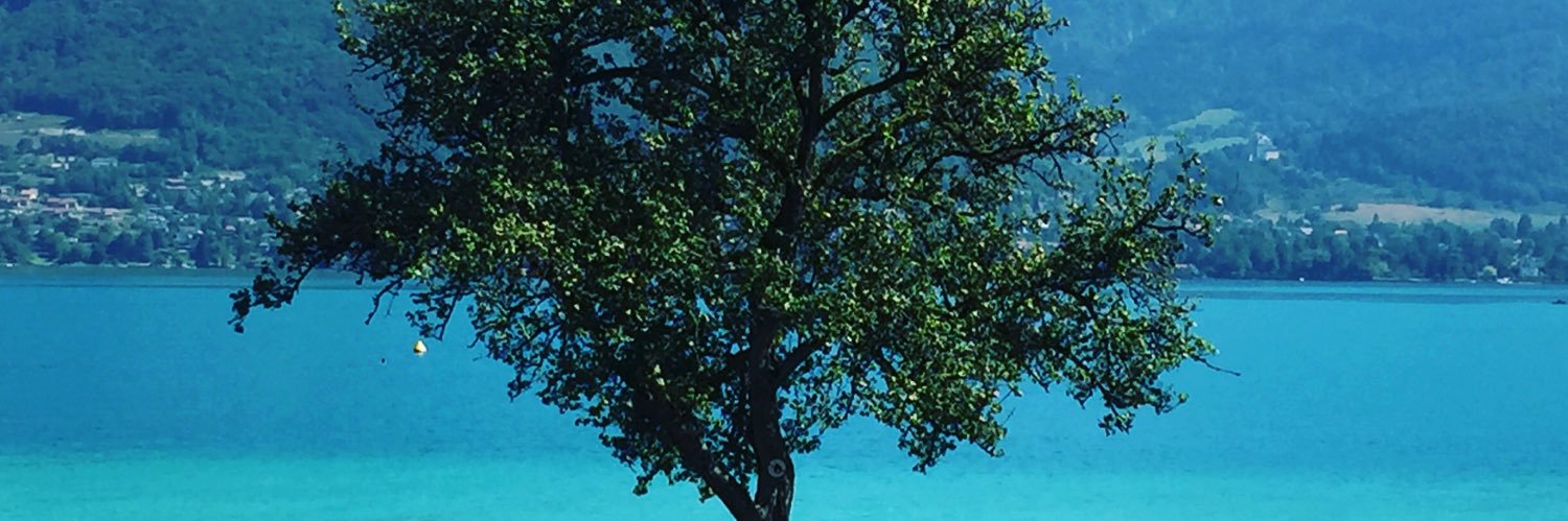 DeltaOneHedge's profile banner image