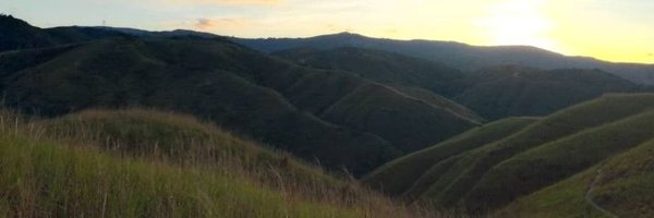 guaranatural Profile Banner