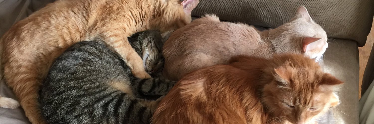 Carol & Oscar banner