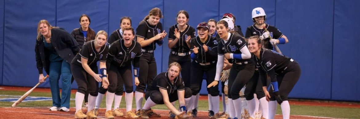 LNHS Softball banner