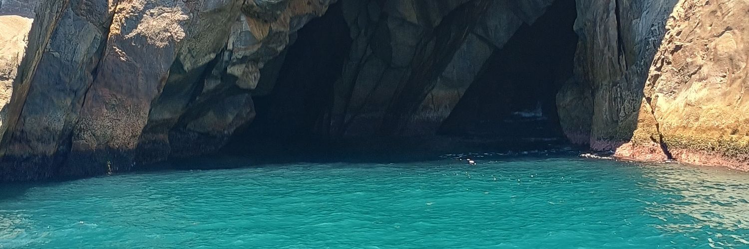 karydarc 🔥 banner