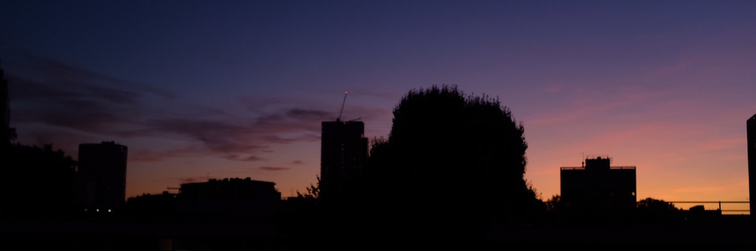 Poppy Levison banner