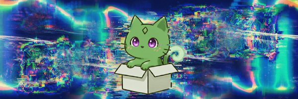 0xCatinaBox Profile Banner