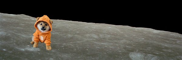hqvy_ Profile Banner