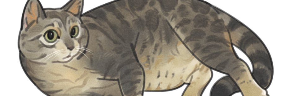 dismantlenight banner