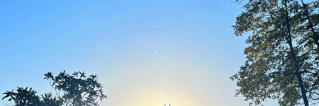 deccw21288782's profile banner image