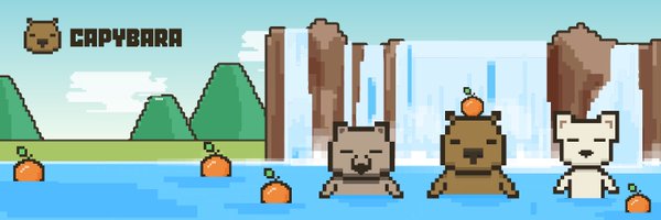 CapybaraDEX Profile Banner