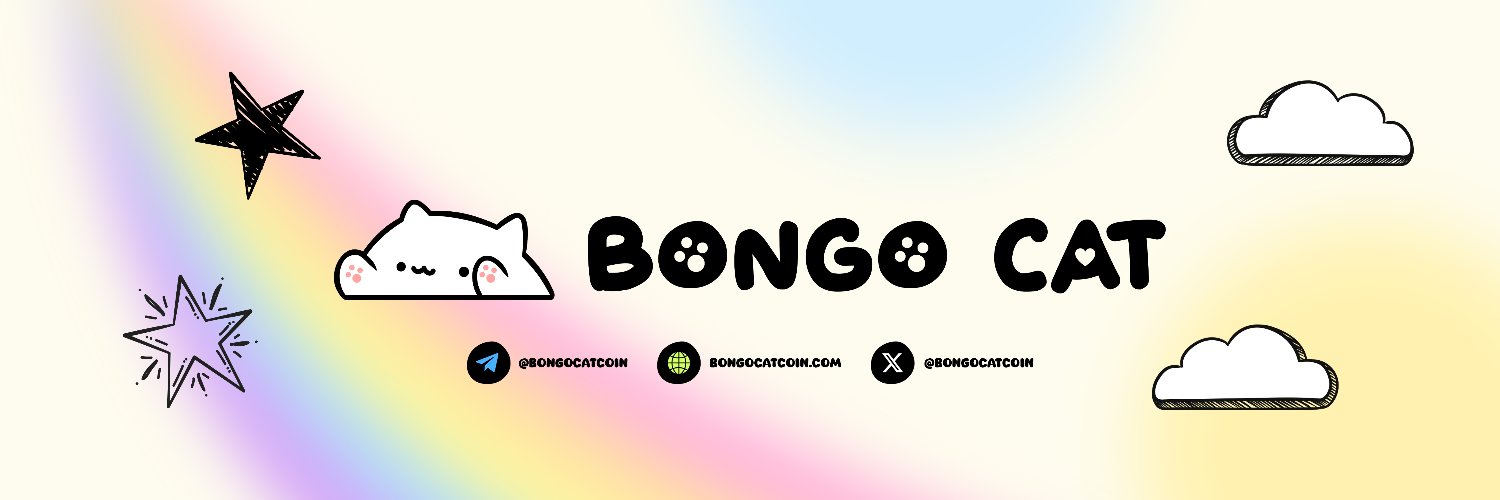 BongoCatx's profile banner image