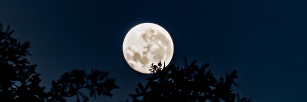 Alien67676 Profile Banner