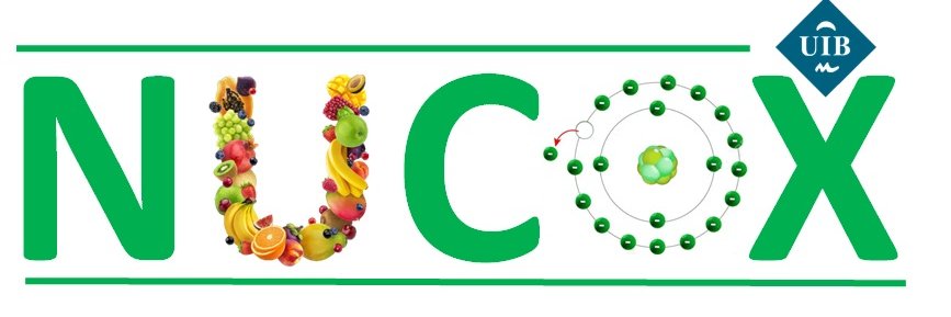Grupo NUCOX's banner