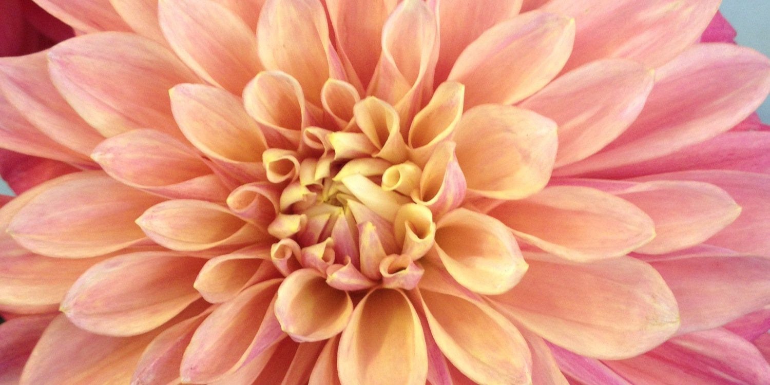 Miss ⛅️ Austin banner