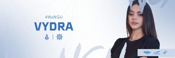 VydraVAL Profile Banner
