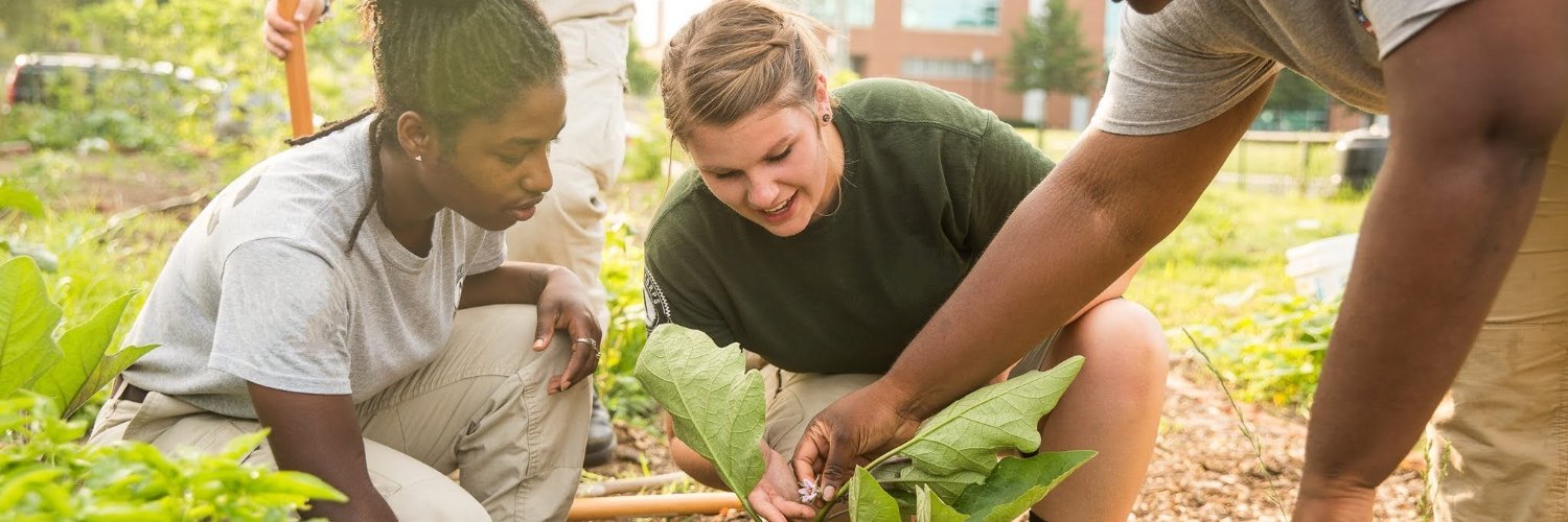 American Climate Corps Profile Banner