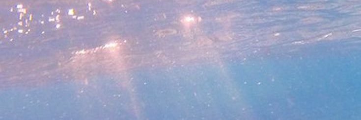 縹木's banner