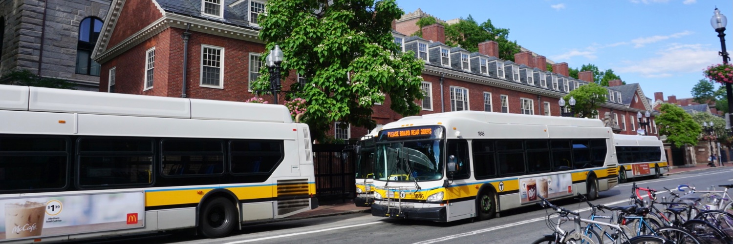 nuribus's profile banner image