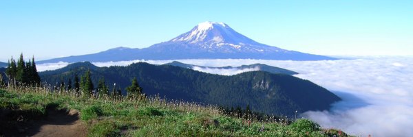 Green_Science Profile Banner