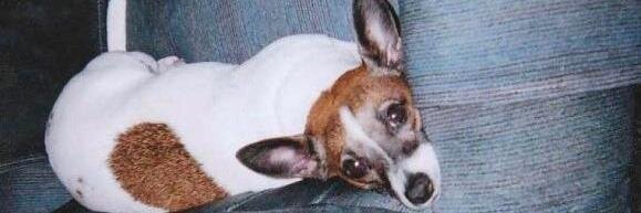 besommer's profile banner image