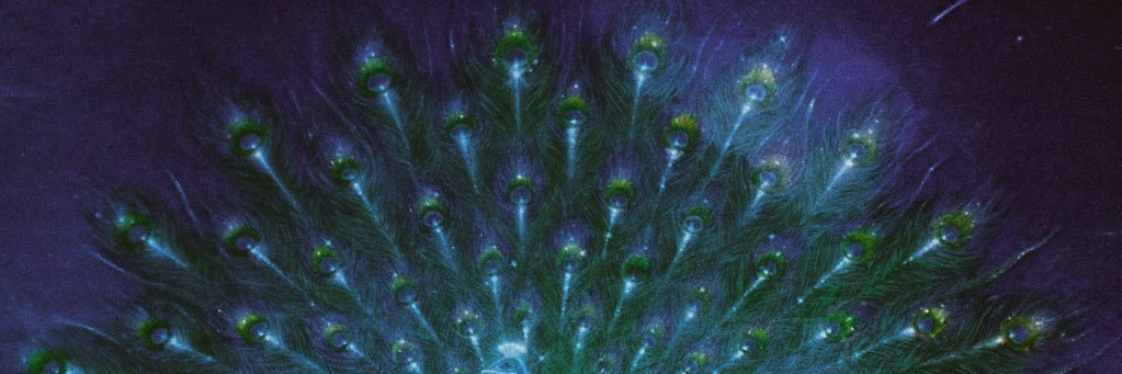 ︀ɐsᥲᥒ𝗍ᥱ's banner