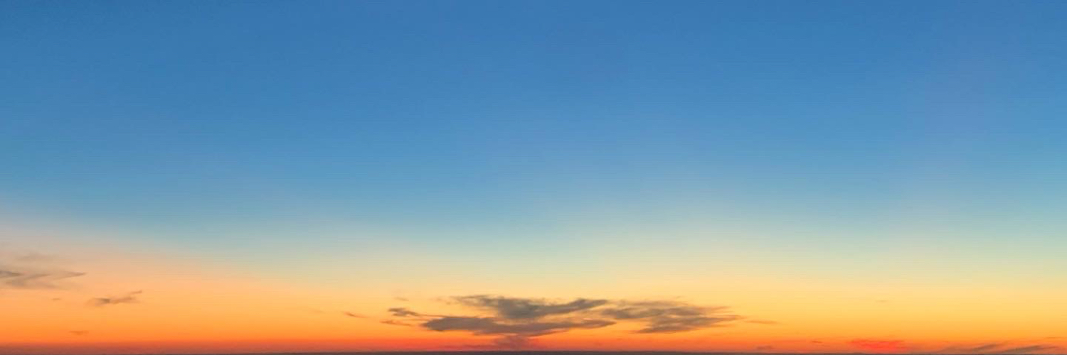 ✈️Tony Dominguez banner