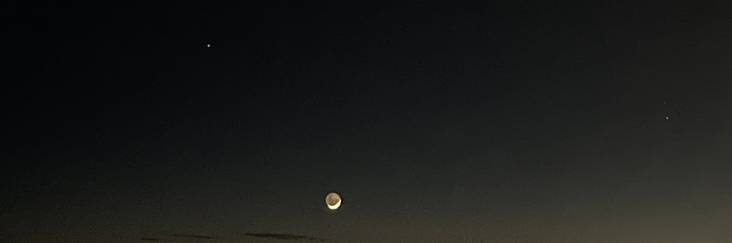 muccalarques's profile banner image