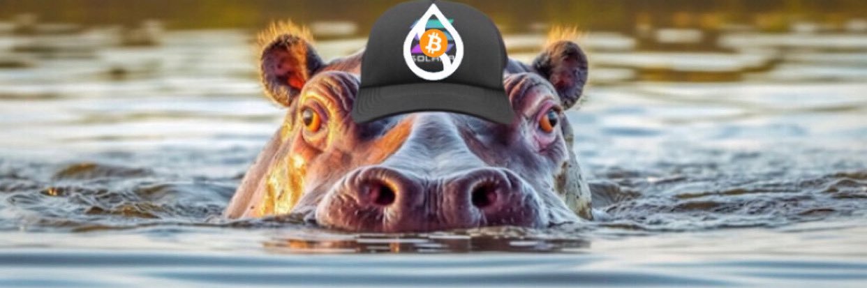 SolHippo banner