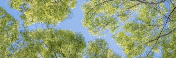 peachonair Profile Banner