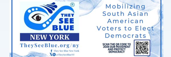 TheySeeBlueNY Profile Banner