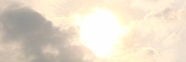 Ayinala2020Idk Profile Banner