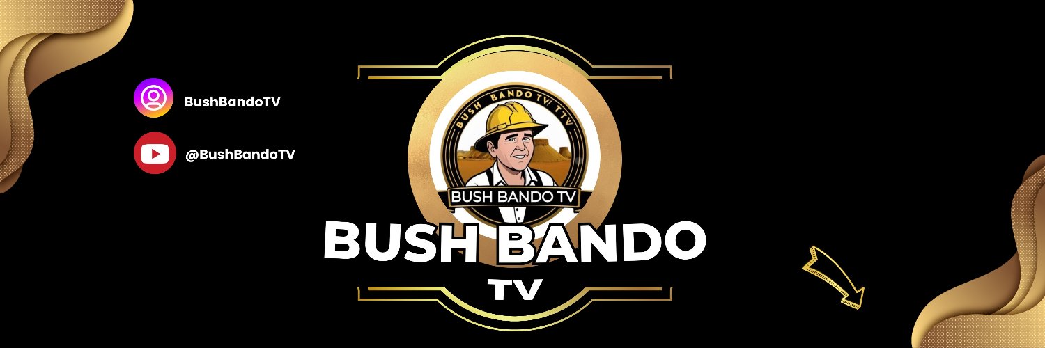 BushBandoTV's profile banner image