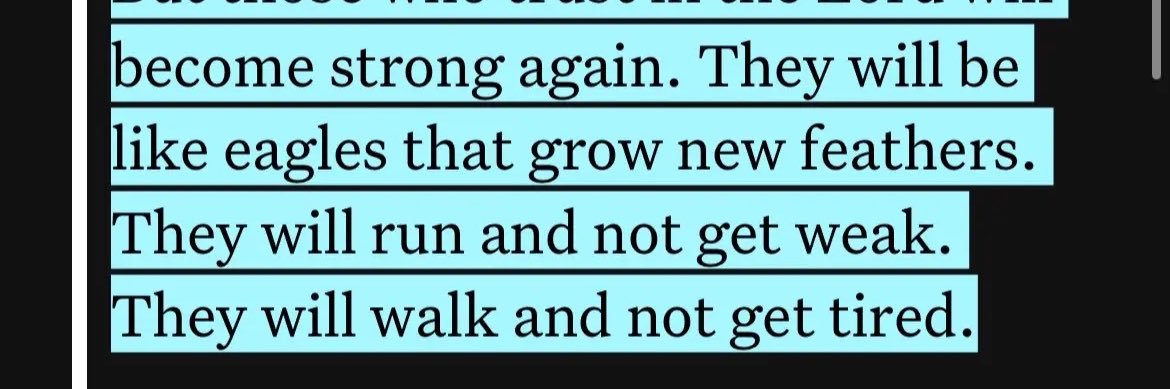 Adrian Hattenberger banner