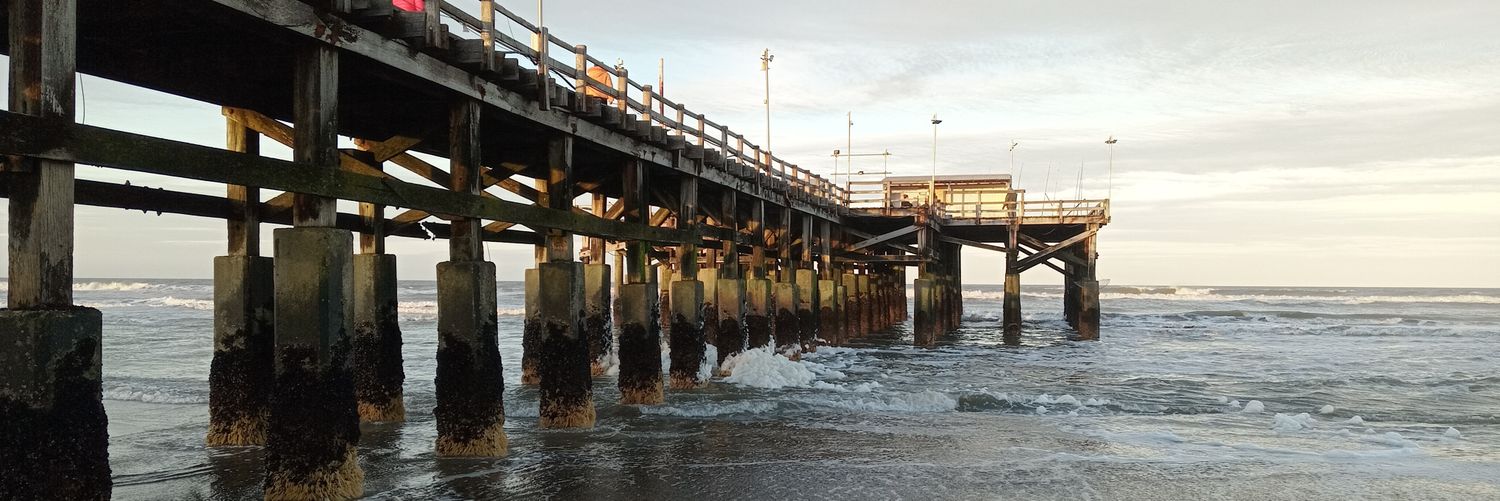 Alberto Pablo Callegari banner