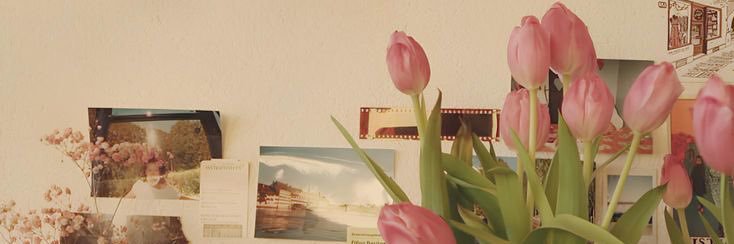 nim𓍢ִ໋🌷͙֒ banner