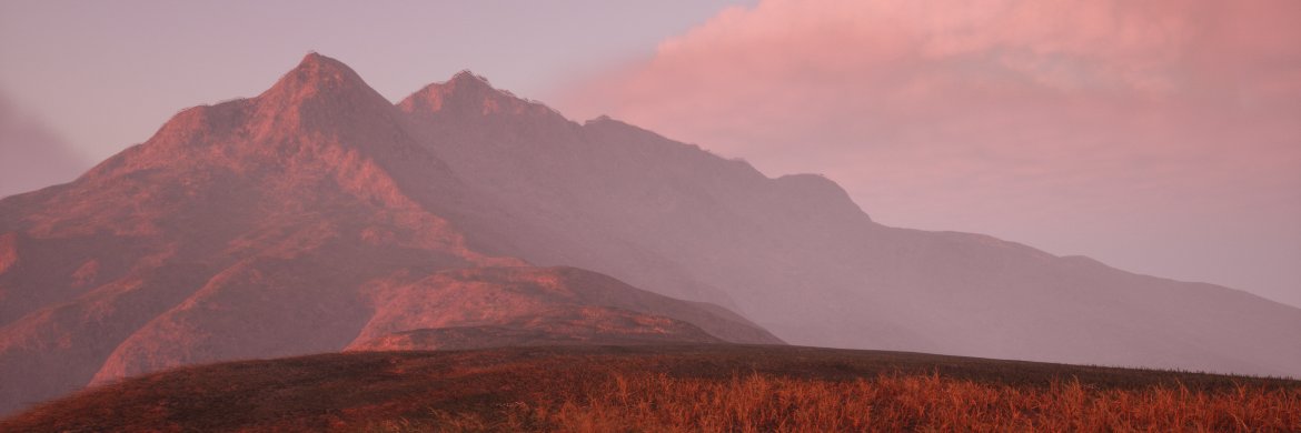 HowtoHamster banner
