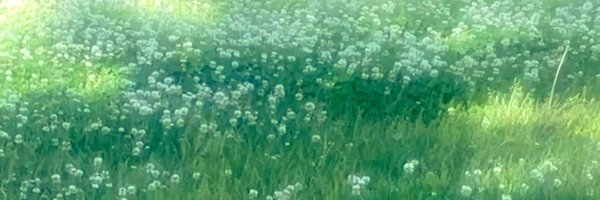 makittuu Profile Banner