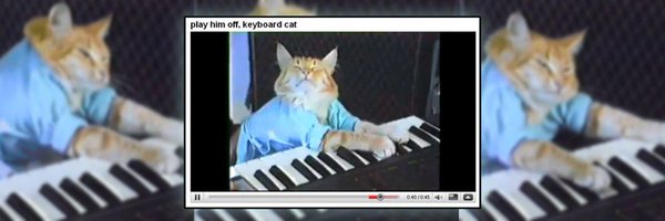 KeyboardCatBase Profile Banner