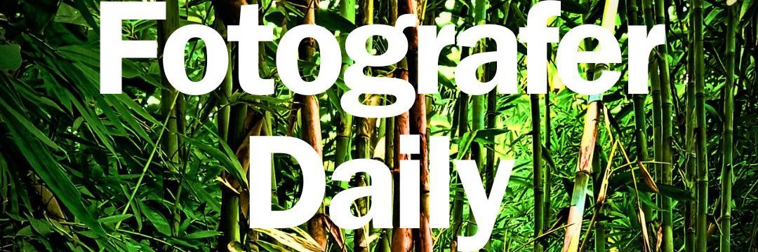 FOTOGRAFER DAILY banner