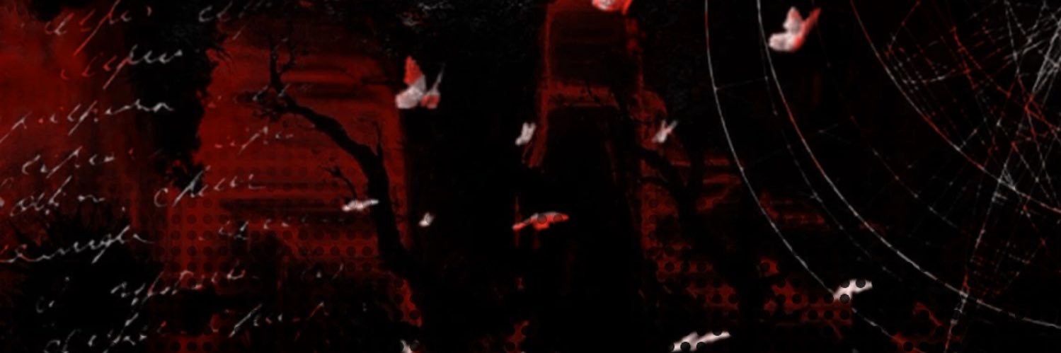 𖢧ꛅ𖤢 ꔪꛎ𖢧𖢧𖤢𖦪 banner