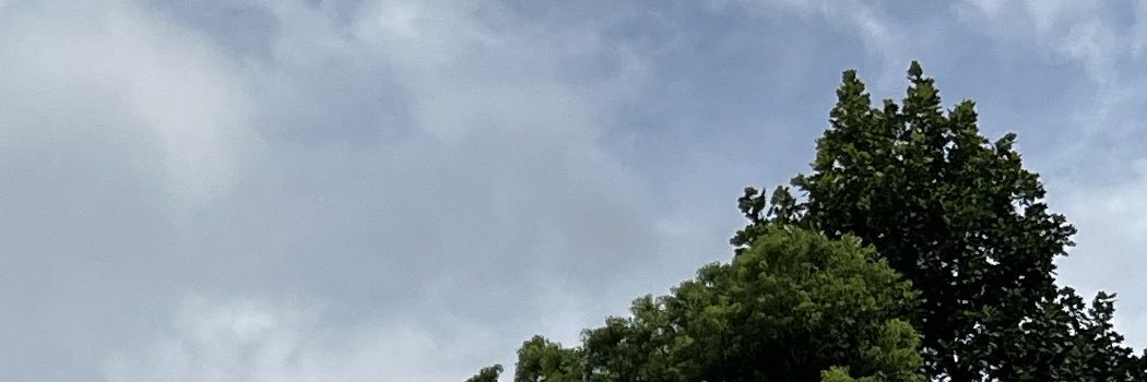 ユ banner