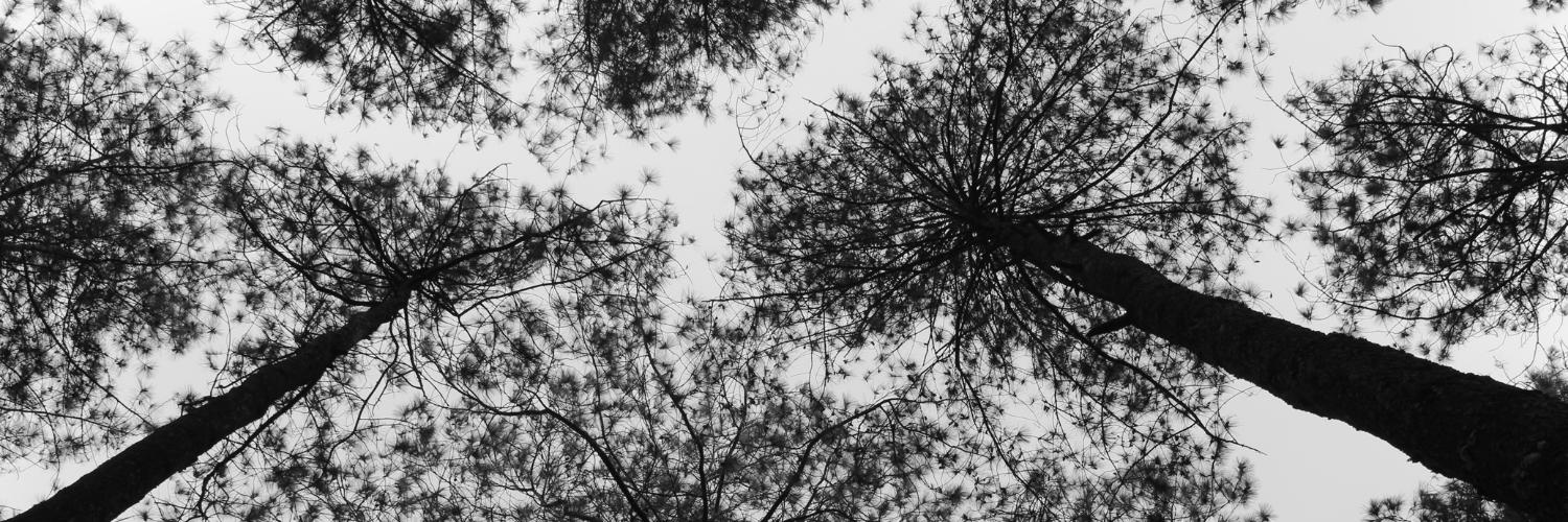 en_bow's profile banner image